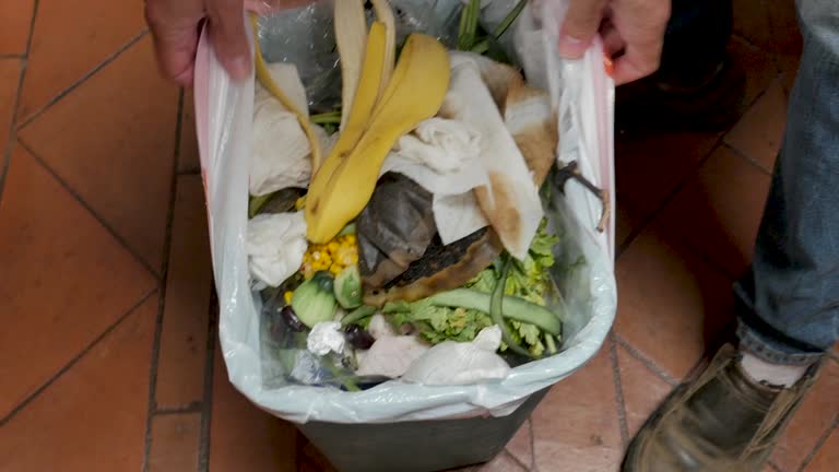 Best Yard Waste Removal  in Alton, IL
